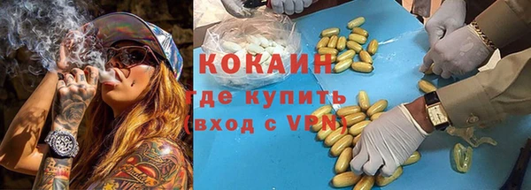 a pvp Магас