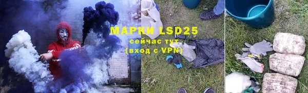 a pvp Магас