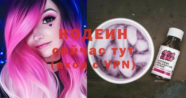 шишки Бородино