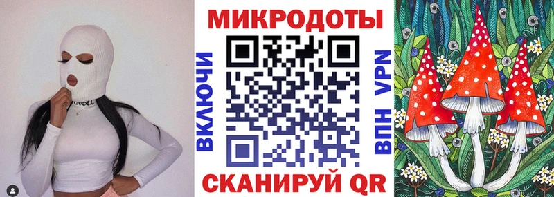 OMG как зайти  Тогучин  Псилоцибиновые грибы MAGIC MUSHROOMS 